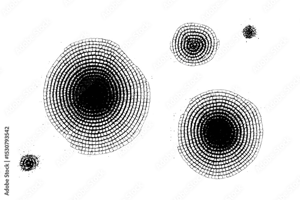 Fototapete Intricate black and white circular patterns created with precise lines and dots exhibit artistic design and detail