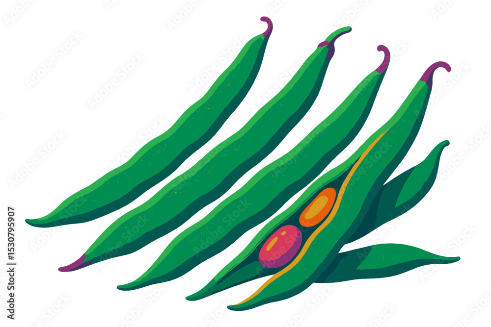 Poster fresh green beans with vibrant seeds displayed on a bright background in a simple arrangement
