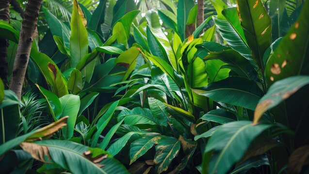 A vertical perspective of Shell ginger flowers blooming in a park setting.