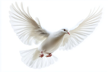 Majestic White Dove in Flight Symbol of Peace and Purity Against a White Background