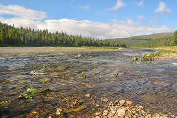 Virgin Komi Forests.
