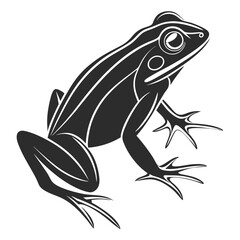 Bold black frog stands out with detailed line work creating strong appeal
