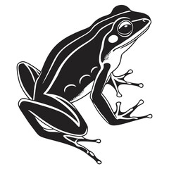 A black shaded frog gracefully sits, revealing its detailed anatomy on a white background