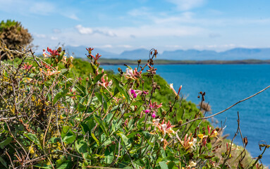 walking around Abberfraw Anglesey North Wales