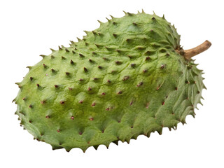 Whole soursop fruit