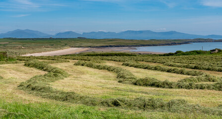 walking around Abberfraw Anglesey North Wales