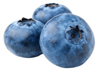 Obraz premium blueberries close-up