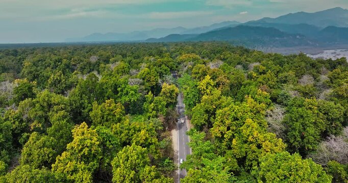 Epic Hill Chain Scenery Covered by Lush Green Jungle. Highway goes through Rajaji National Park, Dehradun-Rishikesh Road. A concept of nature conservation. Vibrant green forest with an asphalt road. 
