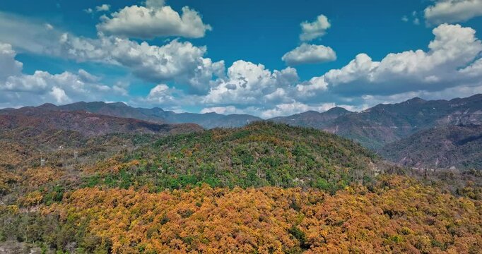Aerial view of Dry Chandrabhaga River next to the Rishikesh Dehradun national highway, Uttarakhand. Epic Hill Chain Scenery Covered by Lush Green Jungle. The highway goes through Rajaji National Park.