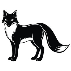 Beautiful fox stands calmly with alert eyes and a bushy tail visible