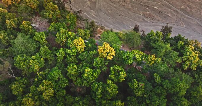 Epic Hill Chain Scenery Covered by Lush Green Jungle. Highway goes through Rajaji National Park, Dehradun-Rishikesh Road. A concept of nature conservation. Vibrant green forest with an asphalt road. 