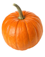 Obraz premium Orange Pumpkin with Stem