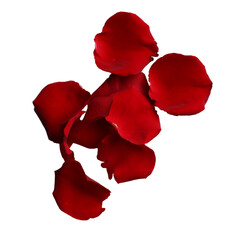 Red rose petals