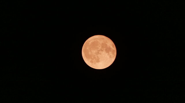 moon in the night sky