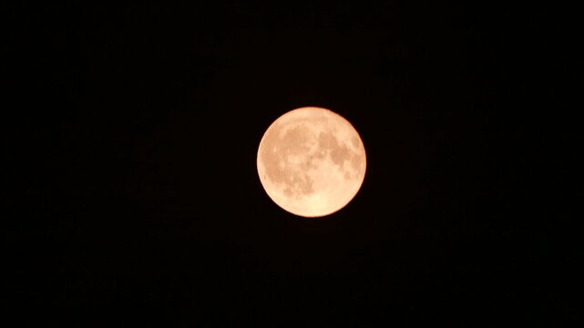 moon in the night