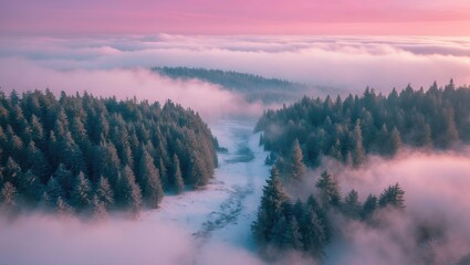 Fototapeta premium Aerial perspective of a frosty forest rising above the clouds.