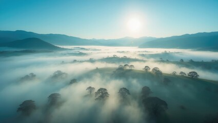 Fototapeta premium Aerial view of a misty morning with leafless trees above a fog layer in sunny hills.