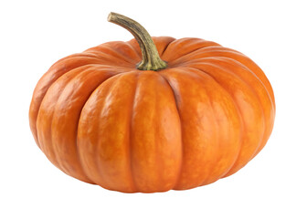 Obraz premium Ribbed orange pumpkin with green stem