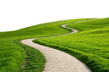 S-shaped dirt trail winding through bright green rolling countryside with smooth curved landscape contours, isolated on a transparent background