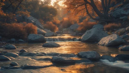 Foto op Plexiglas A peaceful stream passing over rocks within a natural landscape, with sunlight brightening the background. © TheWaterMeloonProjec