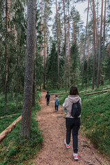 Mom with children walking along a forest trail in summer