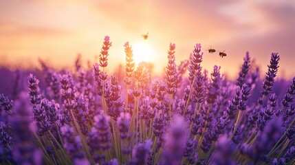 tranquil field of lavender swaying gently in the breeze under a soft pink sunset with bees buzzing around the flowers, Generative AI