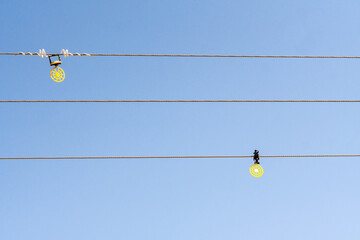 bird protection devices or bird diverters hang on wire cables or electric power lines for safety measures to protect birds flying into them concept environmental protection of wildlife