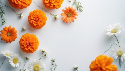 Creative floral layout of orange flowers and daisies on a white background. Flat lay, top view, summer floral background with blank space for copy.
