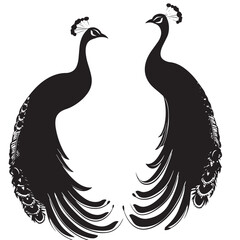 Fototapeta premium Peacocks silhouette isolated in White background