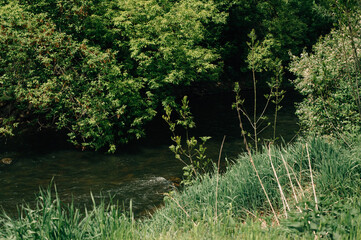 river and lots of greenery around