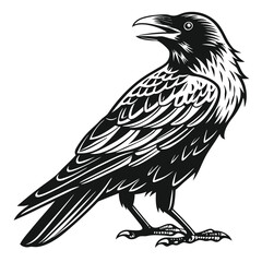 Bold raven in silhouette looks upward with an open beak, standing alert