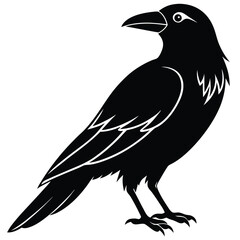 The silhouette of a bold raven perches with distinct white lines accenting its form