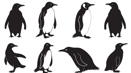 Naklejka premium penguin bird animal silhouette cartoon , black silhouettes isolated on white background