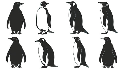 Naklejka premium penguin bird animal silhouette cartoon , black silhouettes isolated on white background