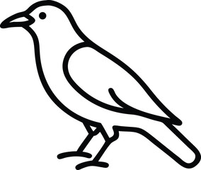 Outlined black crow perches, illustrating simplicity and clean lines with the bird