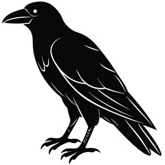Bold black raven stands firmly with stylized feathers in this striking avian silhouette