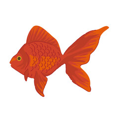 シンプルな金魚のイラスト