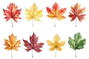Fototapeta premium Colorful Collection of Watercolor Autumn Leaves Isolated on a White Background