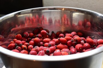 Hagebutten fertig für die Verarbeitung in Edelstahlschüssel, gefroren