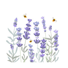 Lavender flowers and honey bees isolated composition. Hand drawn vector illustration.