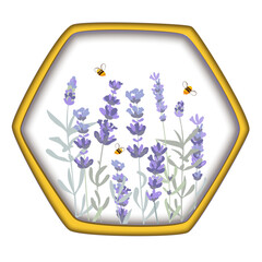 Lavender flowers and bees in a honey comb isolated composition. Beekeeping products packaging design element. 