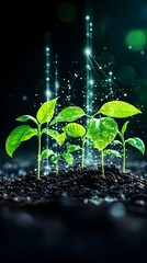 Smart farming Saplings grow with digital network, dark background