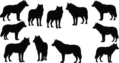 Wolf silhouette collection, wild animal vector set, standing black wolves, forest predator clipart, wildlife pose illustrations, nature design elements