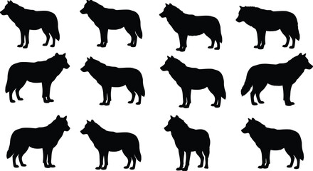 Wolf silhouette vector pack, black wild animal icons, forest predator graphic collection, nature wildlife clipart set for digital design