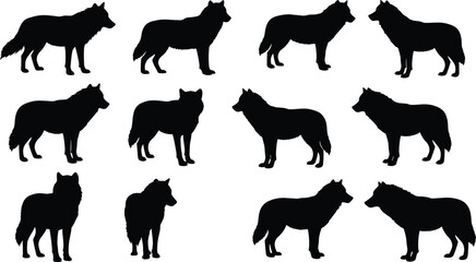 Wolf silhouette vector set, wild animal illustration, standing wolf icons, wildlife graphic design, black forest predator clipart collection