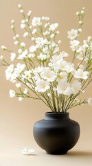 White flowers, black vase, beige background, studio shot, home decor