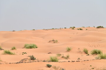 Wide Landscape of Sand Dunes Stretching Across the Sahara Desert Around Douz, Tunisia