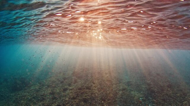 Underwater view of the sea surface with sun rays in the Maldives