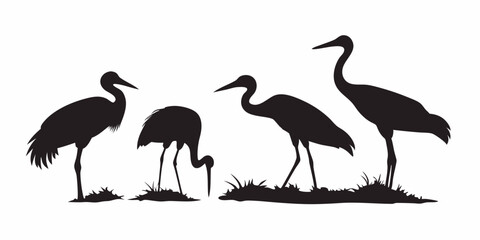 Silhouette of four cranes standing in grass in a black and white vector illustration image art design vector