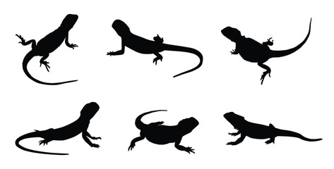 bearded dragon silhouette